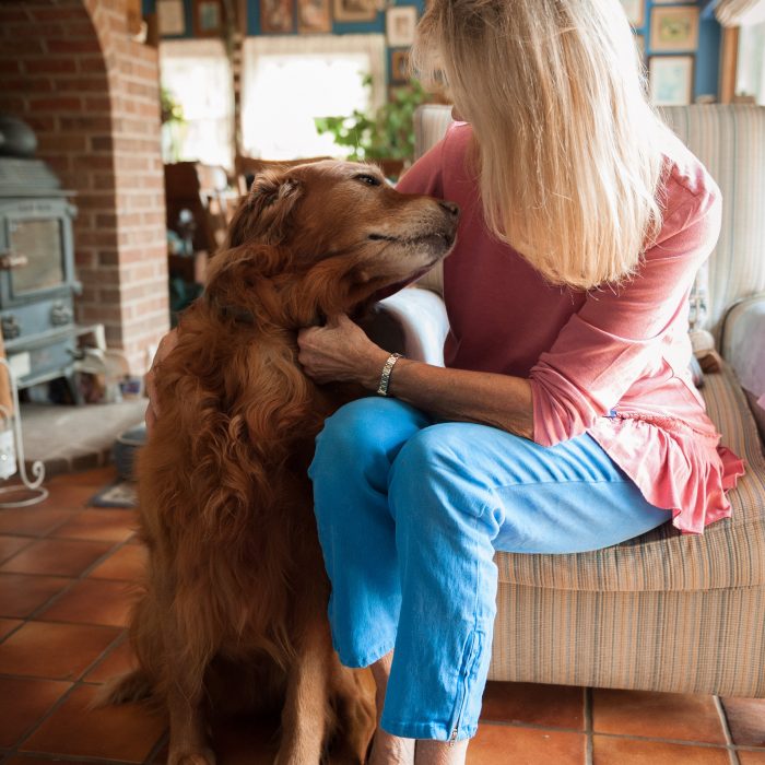 Family Dog