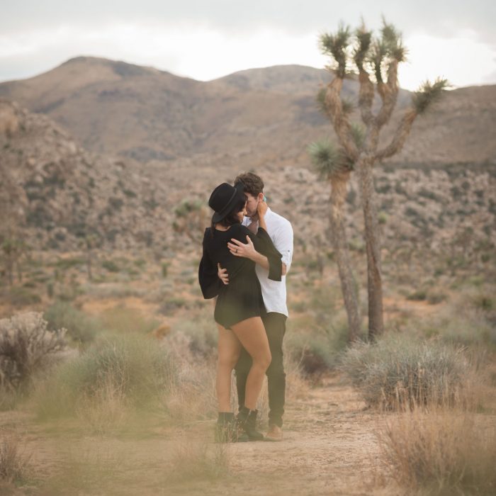 Joshua Tree