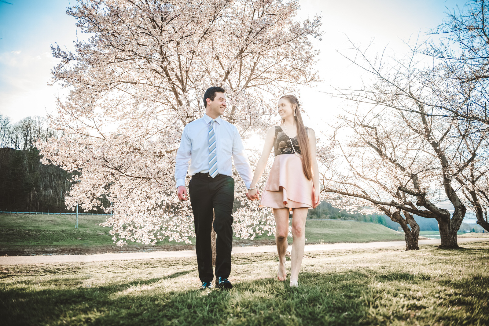 cherry-tree-athens-ohio-spring