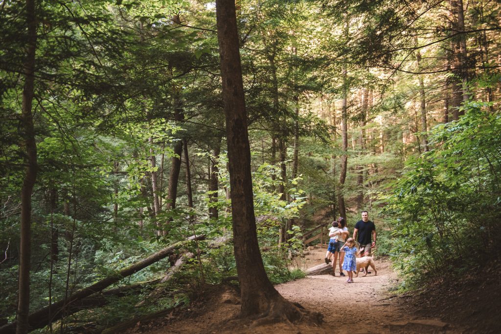 ash_cave_walking_woods