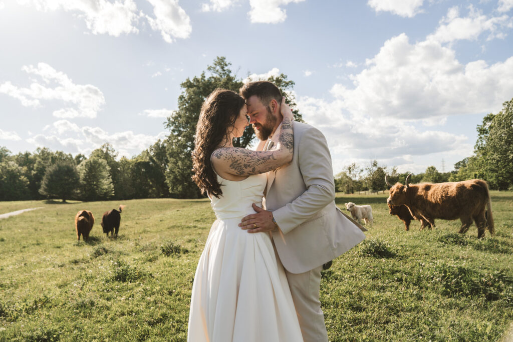 cincinnati highland cow farm wedding