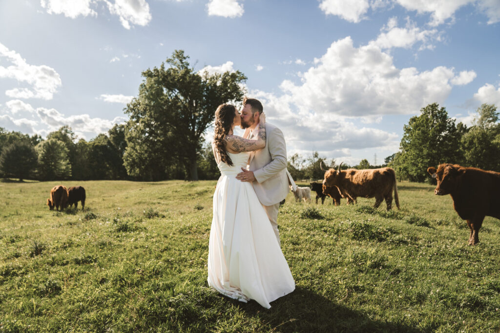 cincinnati highland cow farm wedding