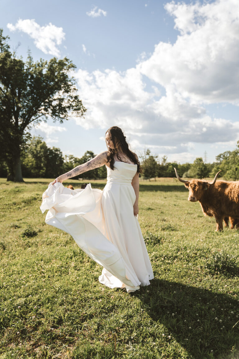 highland cow wedding on a farm in ohio