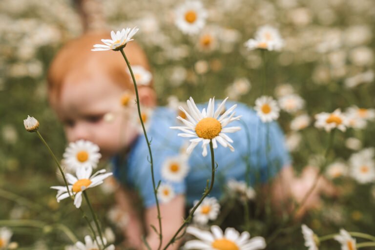 Photographer Near Athens Ohio | Daisy Field Family Sessions